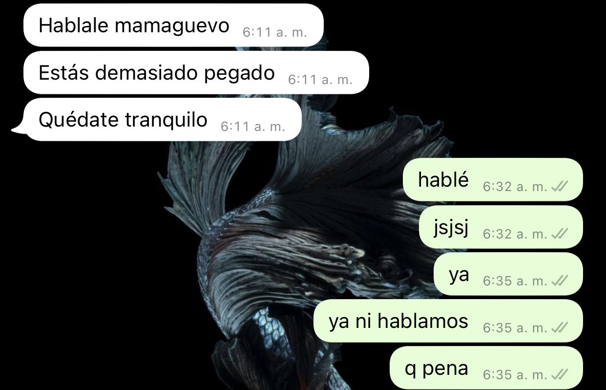 Este soy yo conociendo una persona https://t.co/fm4rTcprcw