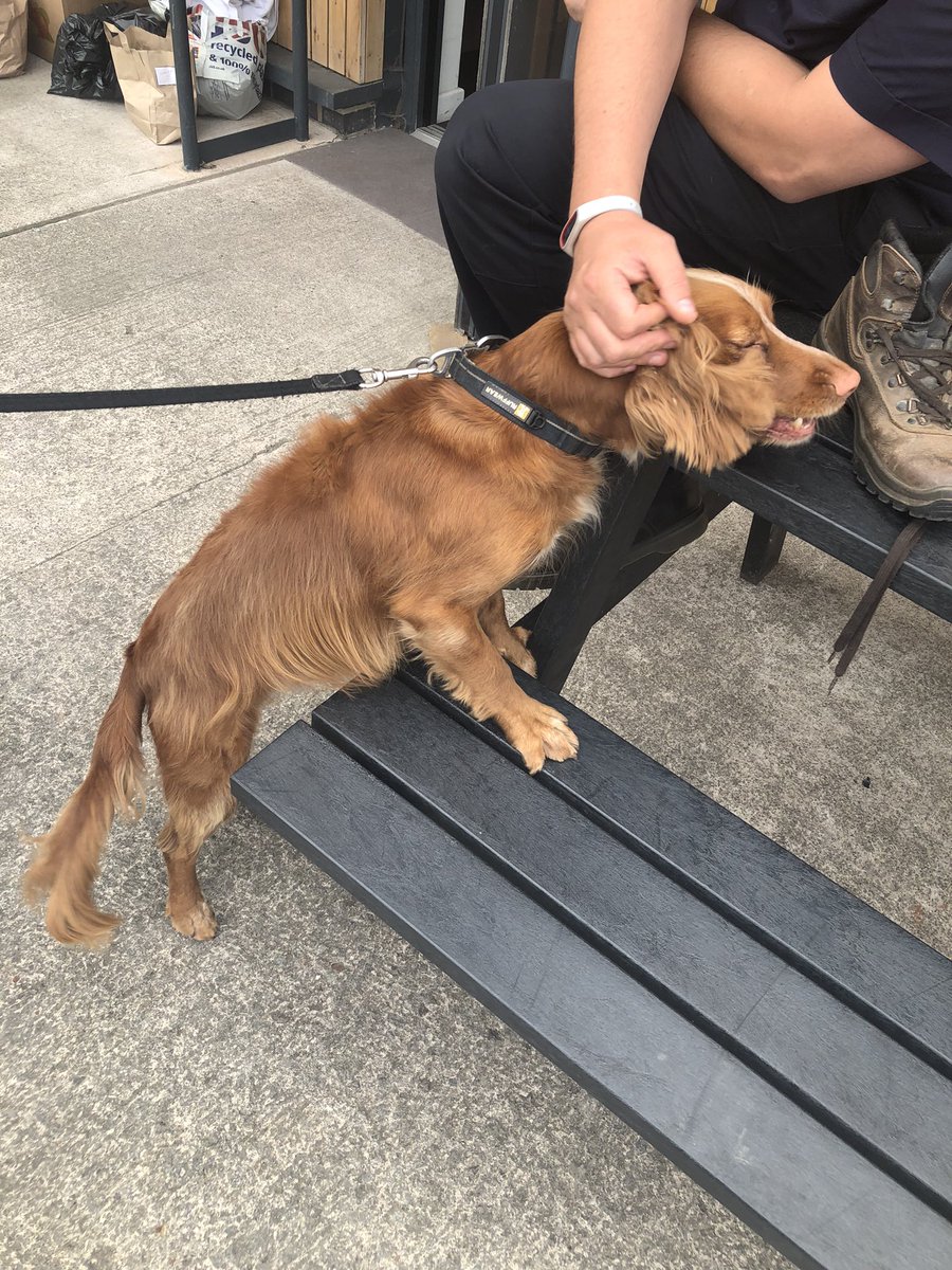 L&D Trainers tweet media