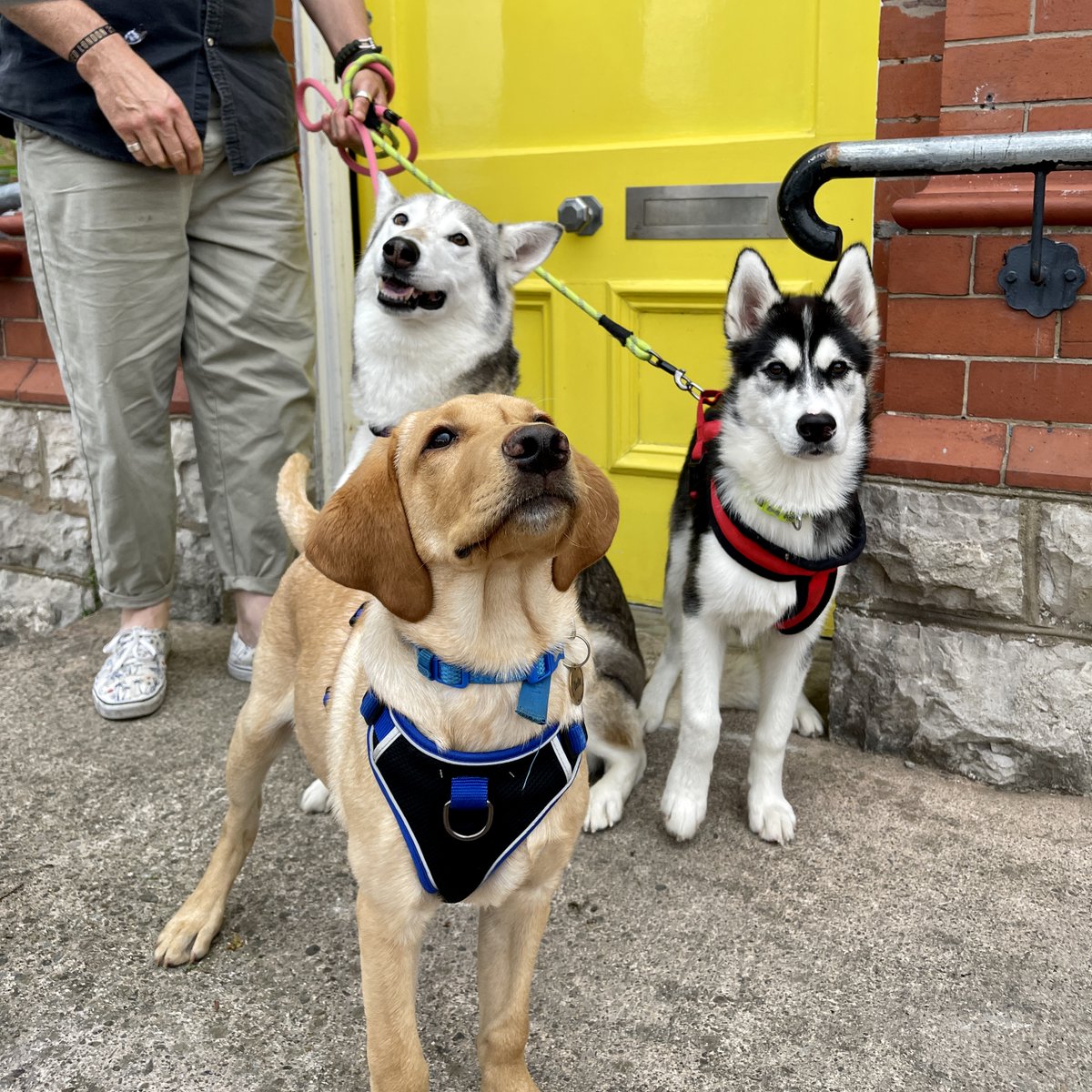 View Creative Agency tweet media