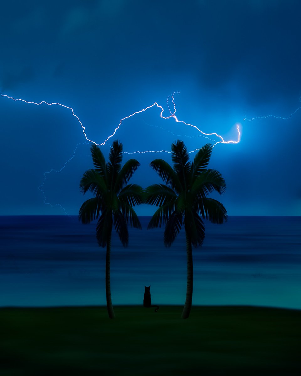 facfreddy's tweet image. GM GM NFTartist photographers 💙💙💙