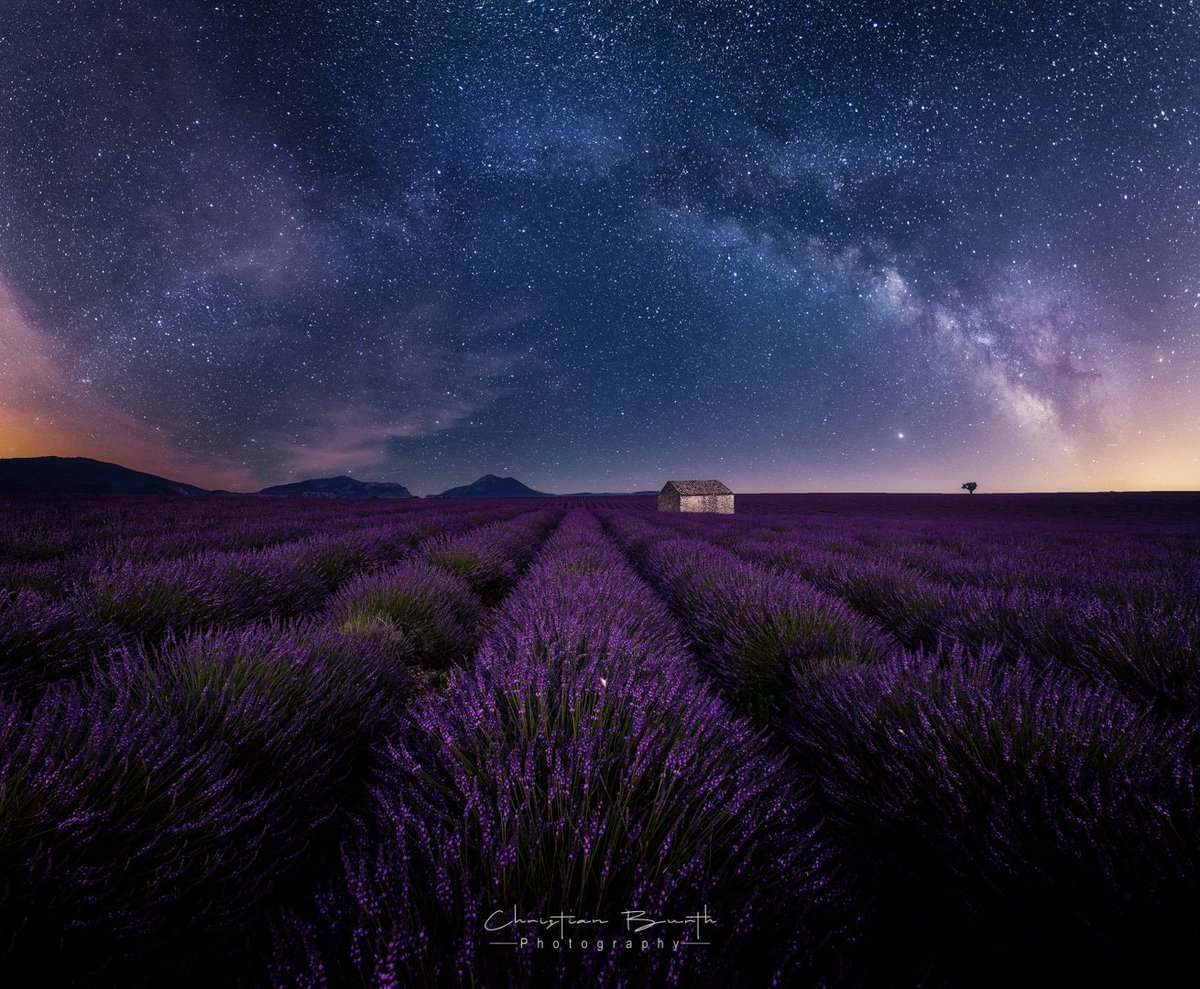 Gm friends of photography 📷

Coming soon on Manifold 💫