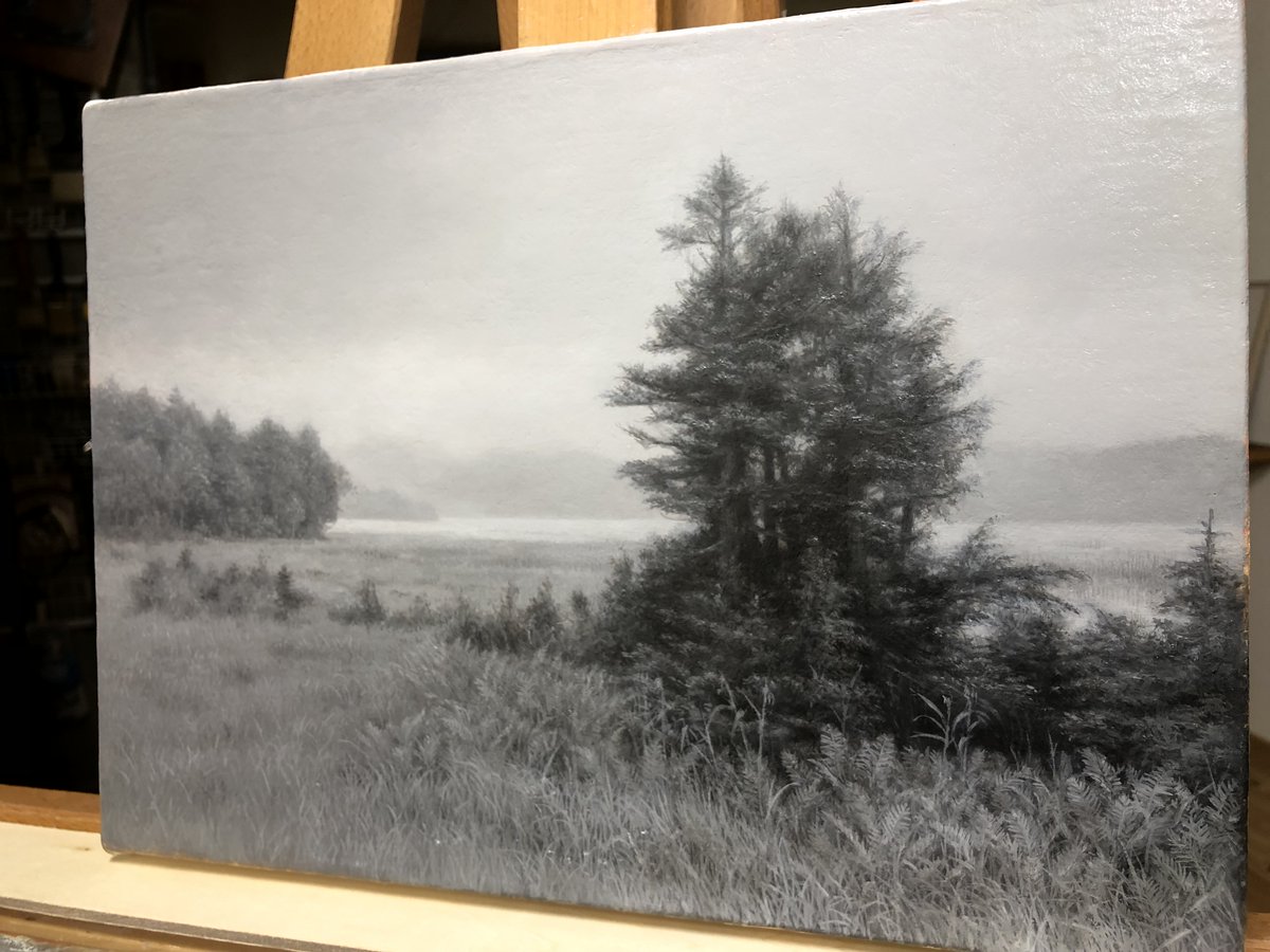 HASHIMOTO NAOYUKI（橋本直行） (@NAO_YUKI13) / Posts / X