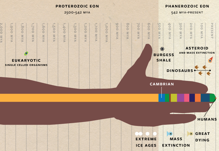 markcporter's tweet photo. Pictures of space making you feel insignificant? If the timeline of Earth were mapped onto your arm, it would begin around the shoulder 4.6b years ago. Take a nail file and scrape the end of the fingernail twice, and you've wiped out all human existence. It's liberating AF tbh. https://t.co/rpxbLNnVwO