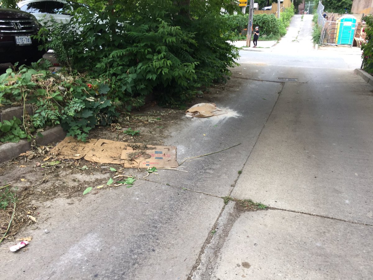 citizenvoxpop's tweet photo. Hi @311toronto. Dumping of unknown substance in lane north of Gerrard E running between Highfield and Glenside Ave. It’s attracting aggressive rodents. Also, very overgrown in this lane. Thanks. 
@paulafletcherto
@gecotoronto https://t.co/tUzN1VE31I