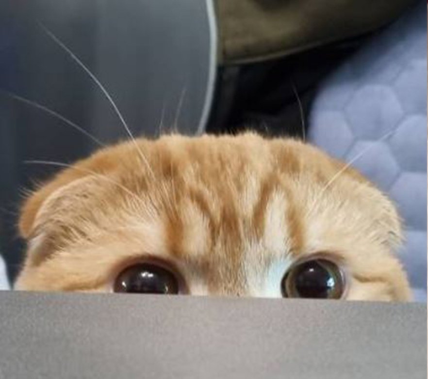 Hai

<a href="/lasteinte/">LAS TEINTE.</a> <a href="/subente/">SIAP SIAP DARE.</a> <a href="/masereon/">𝐀𝑹𝐄𝐎𝐍.</a> <a href="/ederyne/">Sora.</a> <a href="/calluena/">♡, 𝑙𝑢𝑛𝑎.</a> @sadklief <a href="/Ieogreys/">Grey.</a> <a href="/araryael/">A. GAELAN.</a>