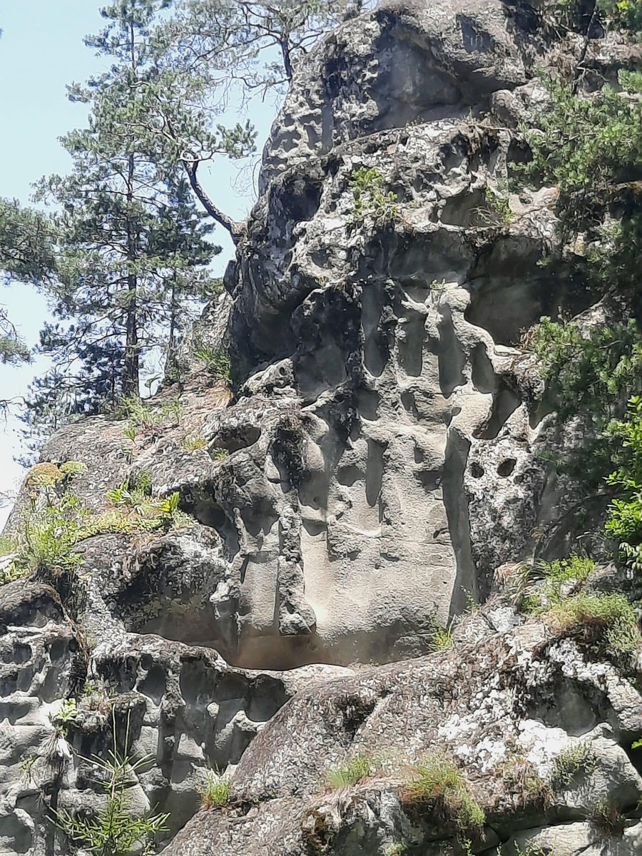 SouthCaucasus's tweet photo. „I believe the titans really lived in Borjomi-Kharagauli-Nunisi. This is a handprint“ via Giorgi Liparteliani #ReiseKnowHowGeorgien https://t.co/xjjrXjam91
