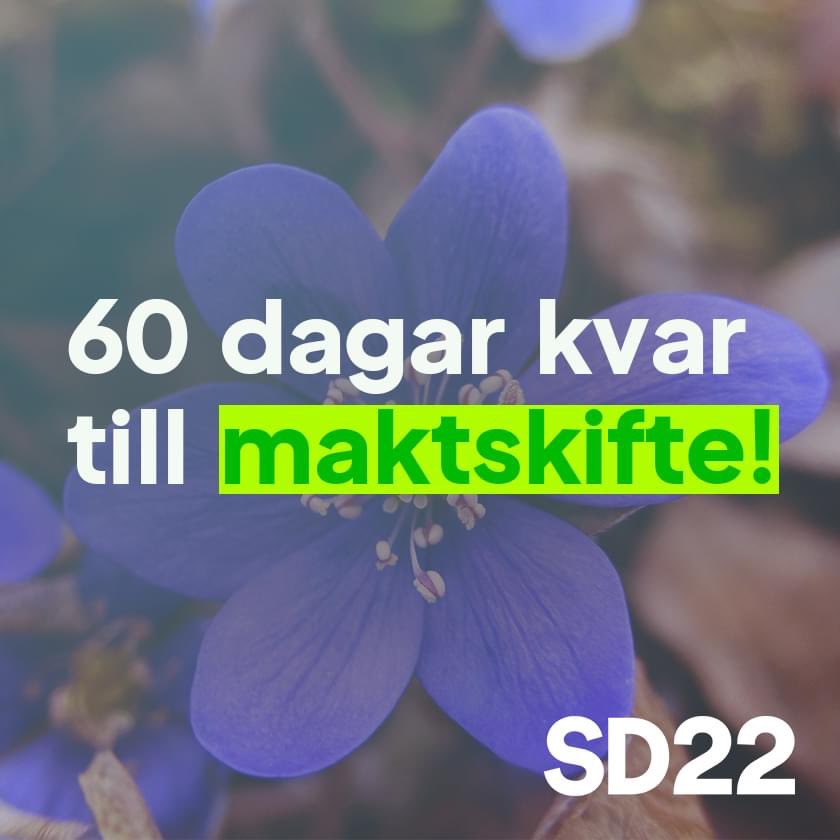 Mattias Eriksson Falk tweet media