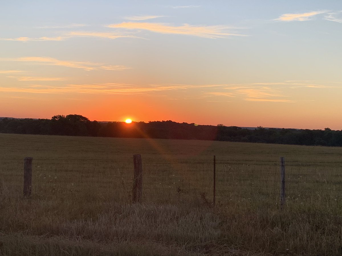 LandryEJones's tweet photo. Going to be a great day for the @MFA_Inc 2022 Forage Tour! https://t.co/iOAuaVA0m5