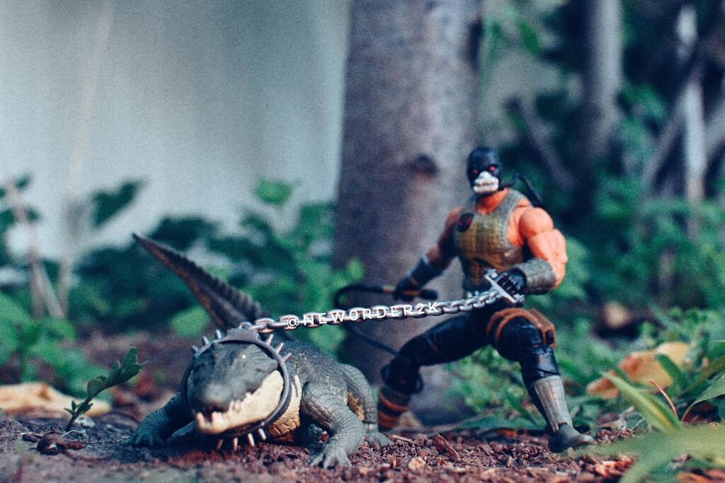 new0rder2k's tweet photo. Croc Master & Fiona π
.
Another shot of the the awesome duo. Gotta give the G.I. Joe team some kudos π @morphinomenally_emily @weatherdominator
#yojoejuly #gijoeclassified #gijoenation #crocmaster #Fiona #hasbropulse #toysphotography #new0rder2k #π https://t.co/FtKjJJQv76 https://t.co/Vviohv3RMK