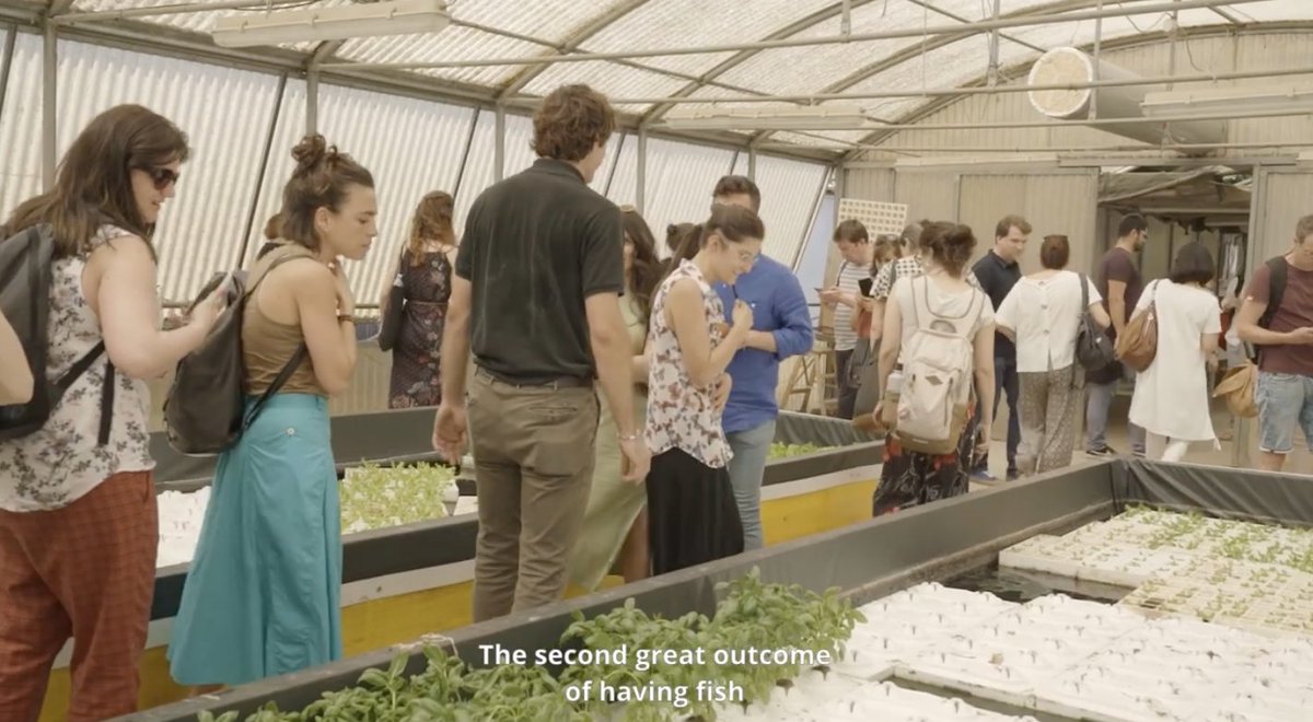 Che cos'è un impianto di #acquaponica 💧🥦? Quali sono i suoi benefici? Guarda il video realizzato in <a href="/twitorino/">Città di Torino</a> durante l'International Replication Event di <a href="/proGIreg/">ProGIreg</a> project (16-17 giugno 2022) per trovare le risposte.
👉 youtu.be/FKFx_M27Mcs
#TCLprogettieuropei