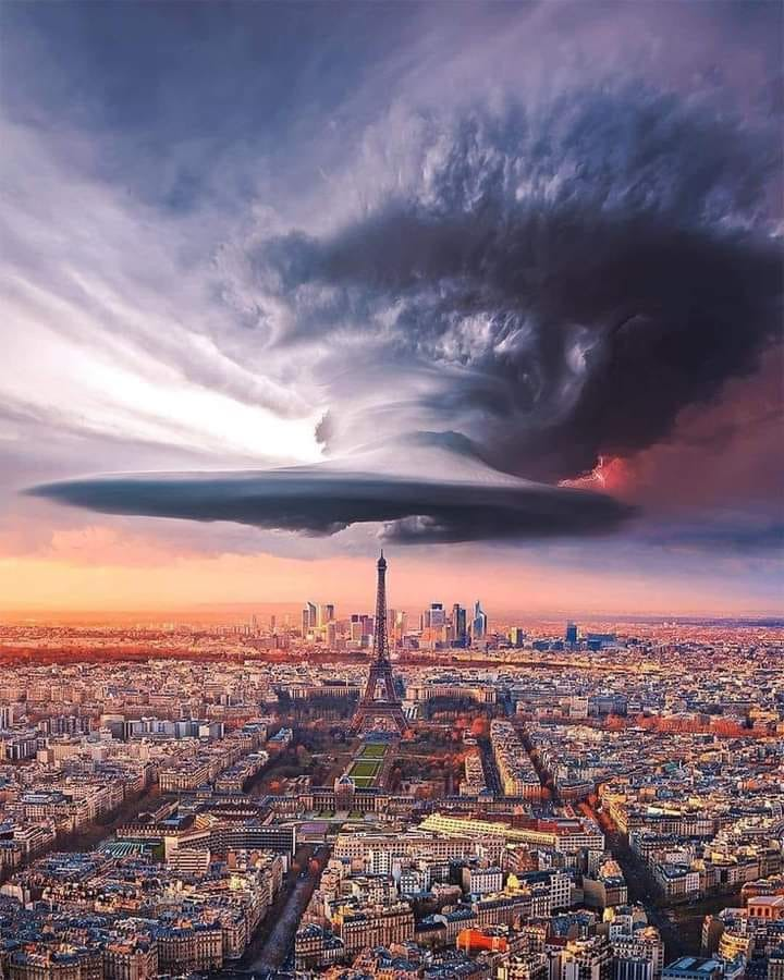 VieNatureSavoir's tweet photo. Good afternoon 🗼🏙️🌹 https://t.co/AOb81Qdt1h