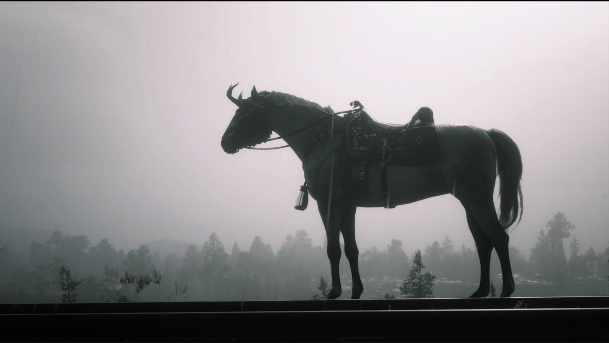 hamburgrking's tweet photo. Rest In Peace, Red Dead Online.
Here’s a few of my favourite photos of my character and her horses 🐴
#RedDeadOnline #RedDeadFuneral #SaveRedDeadOnline #XboxShare https://t.co/tMSc6Y3fG4