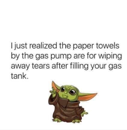 MPetConnect's tweet photo. So true 😂😂 #michellespetconnect #Transport #petransport https://t.co/UOp7MvcOZs