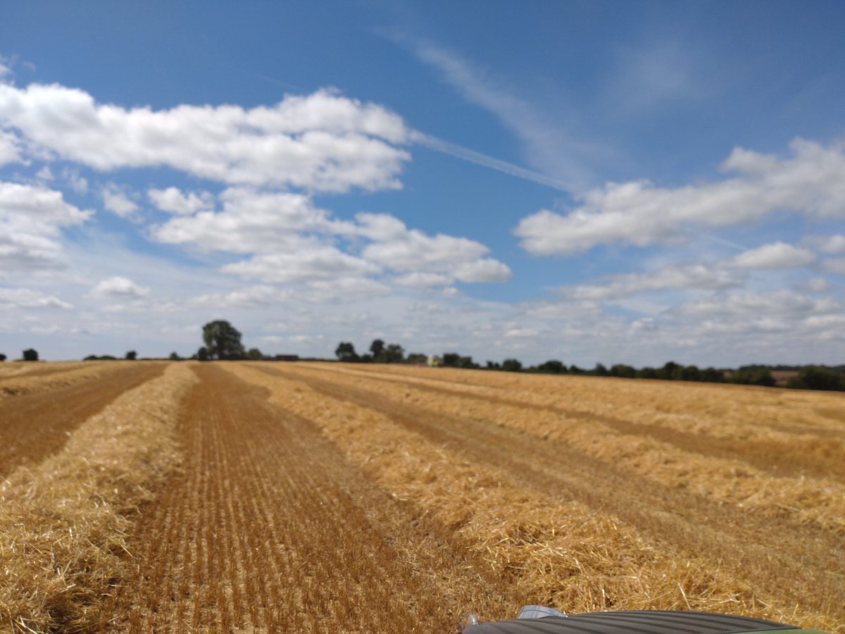 There is a combine, tractor &amp; trailer in that photo but who cares look at that sky. It's a scorcher in Wexford today. ☀️☀️