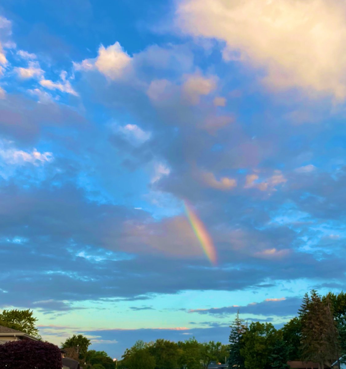 steve_nendza's tweet image. Only way I can describe this is as #BeautifulConfusion #ThinkingSpot