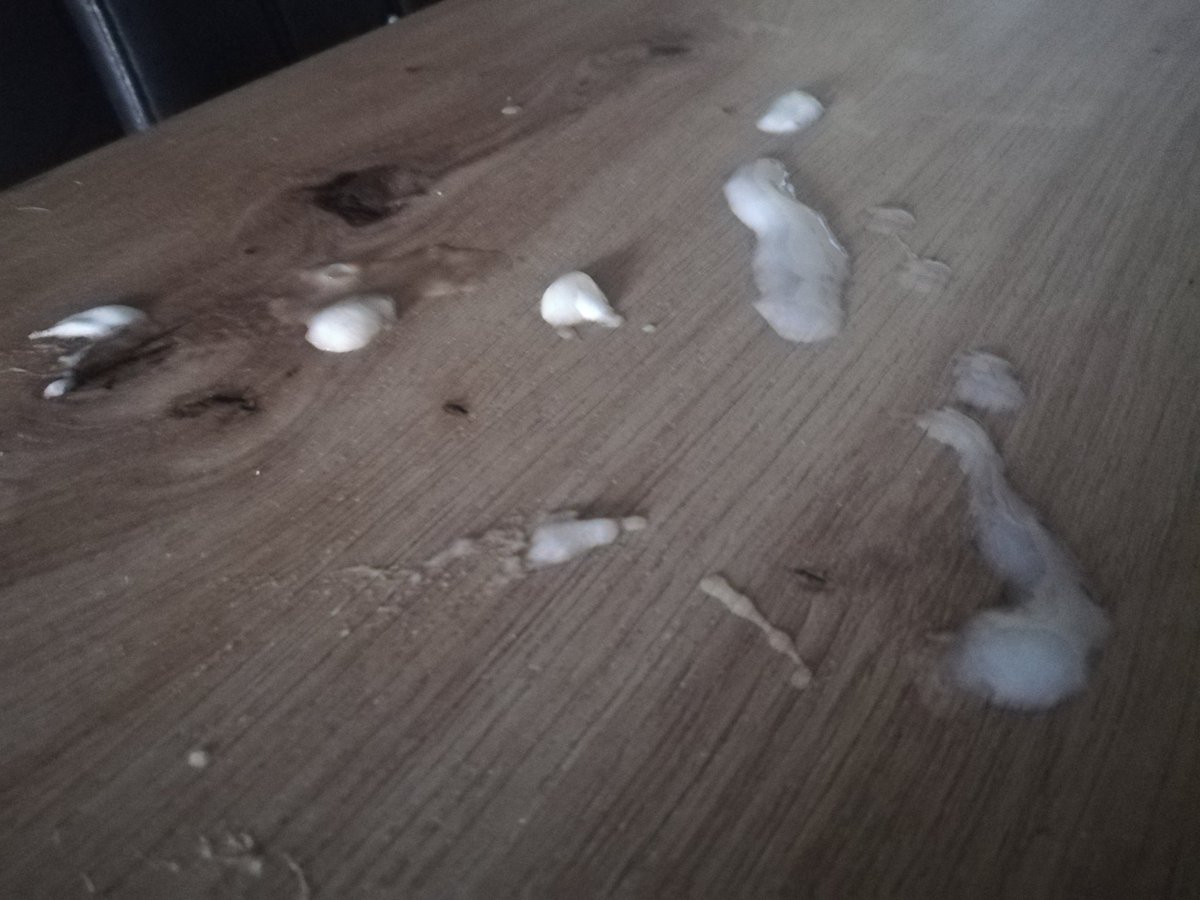 toubs8's tweet photo. Müsste im Büro... Fuck war nötig https://t.co/lQUufkPOYe