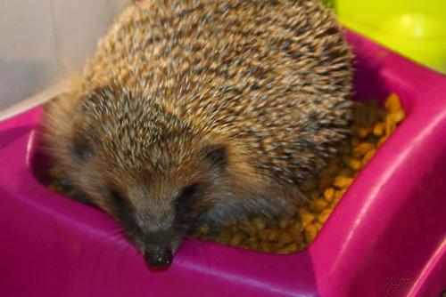 JLTroog ❄️ tweet media