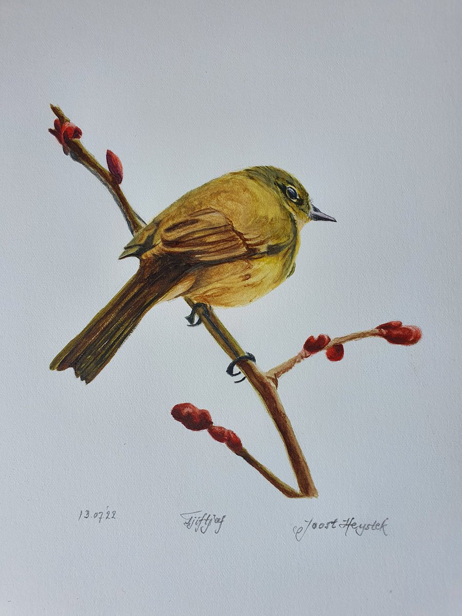 #ThankYou for the #rt & #Likes #watercolor #chiffchaff #Tjiftjaf #zilpzalp #Watercolour #watercolorpainting #watercolors #watercolorart #birds #birdpainting #watercolourart #art #arte #artshare #ArtistOnTwitter #artist #twitart #artwork #painting