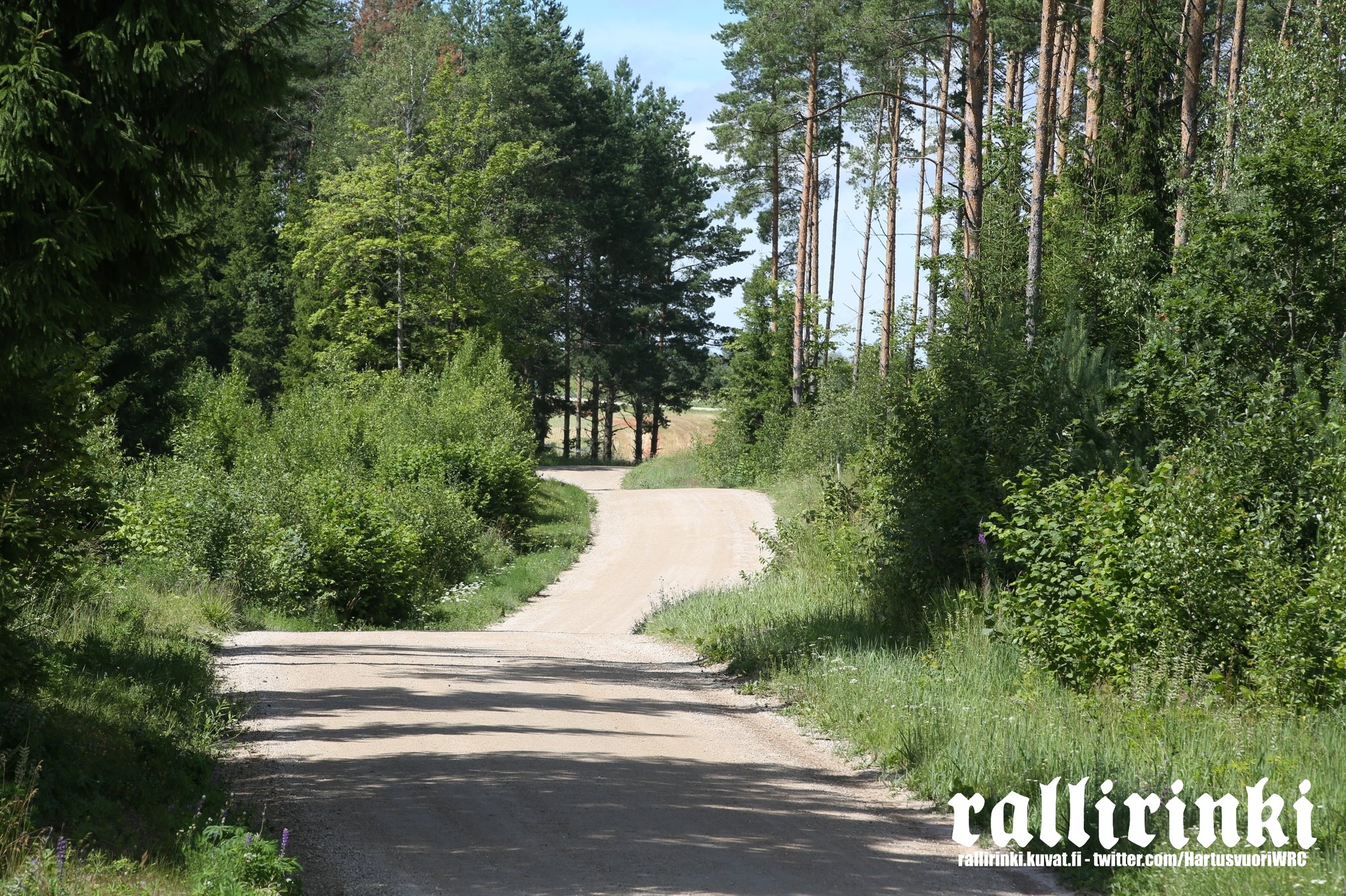 WRC: Rally Estonia [14-17 Julio] FXizWiiXkAMtG8h?format=jpg&name=large