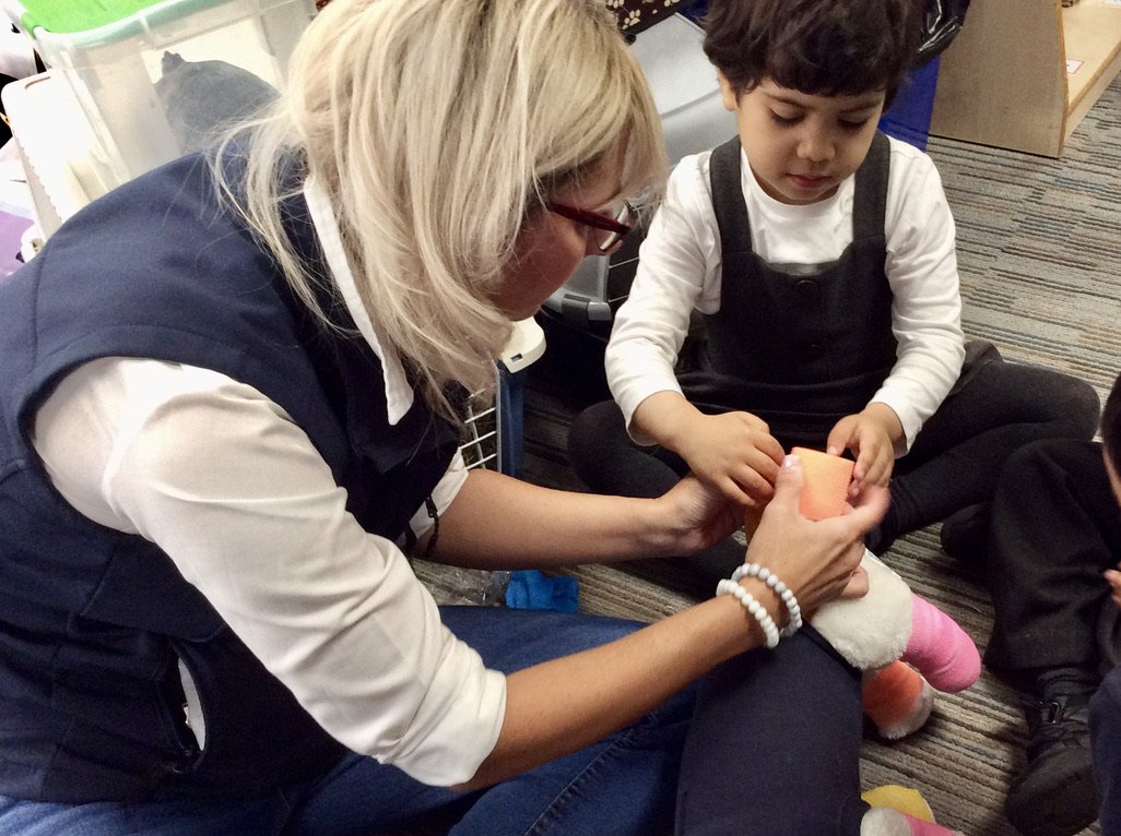 MissWilson9's tweet photo. Nursery had a wonderful day last week when a vet and some staff from Companion Care in Salford came to visit. They brought some animals too and we all got a turn at learning new things like listening to a real dogs heartbeat and using the special bandages! https://t.co/LDVdvjMc1X