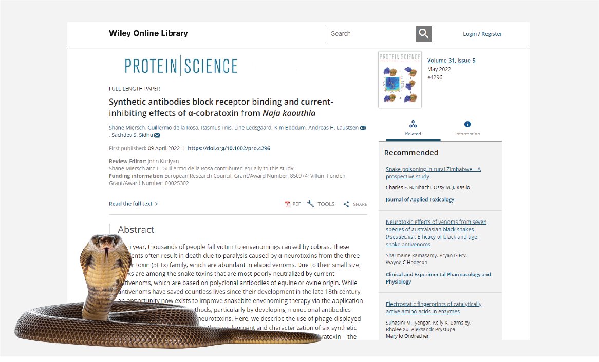 A new generation of engineered, tailored #antivenom for treating snake bites is developed using phage display to discover antibodies that neutralize snake toxins. Read more: sophion.com/publications/s…
#antivenoms #venoms #ionchannels #qpatch #qube384