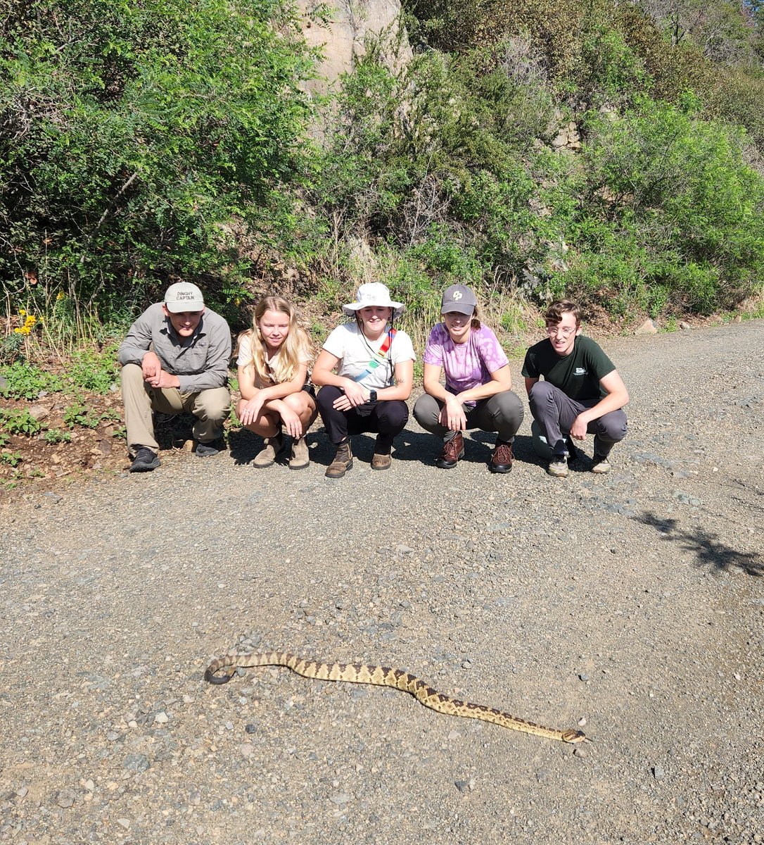 snakeymama's tweet photo. Arizona Welcome Wagon! #BOPV4 https://t.co/CuJwt6wSOm