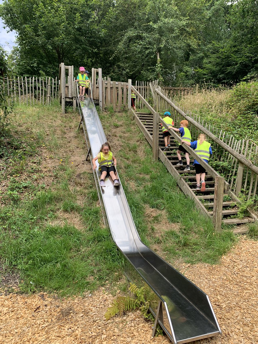 MissHenryMA's tweet photo. Very proud of Reception today! They were absolutely amazing on their school trip to Lulworth Castle 🏰 Our favourite part was seeing real peacocks and finding their feathers around the woodland! 🦚 @ManorsidePoole https://t.co/WSltScBr5Z