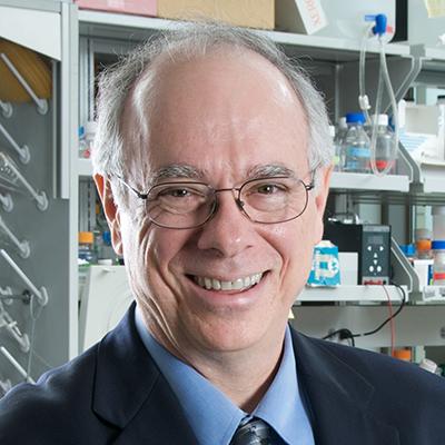Carver College of Medicine (@iowamed) on Twitter photo Gene therapy may be able to repair muscle severely damaged by a type of muscular dystrophy, according to a recent study from <a href="/uiowa/">University of Iowa</a> researchers including senior author Kevin Campbell, PhD. spr.ly/6018zsHga Gene therapy may be able to repair muscle severely damaged by a type of muscular dystrophy, according to a recent study from <a href="/uiowa/">University of Iowa</a> researchers including senior author Kevin Campbell, PhD. spr.ly/6018zsHga