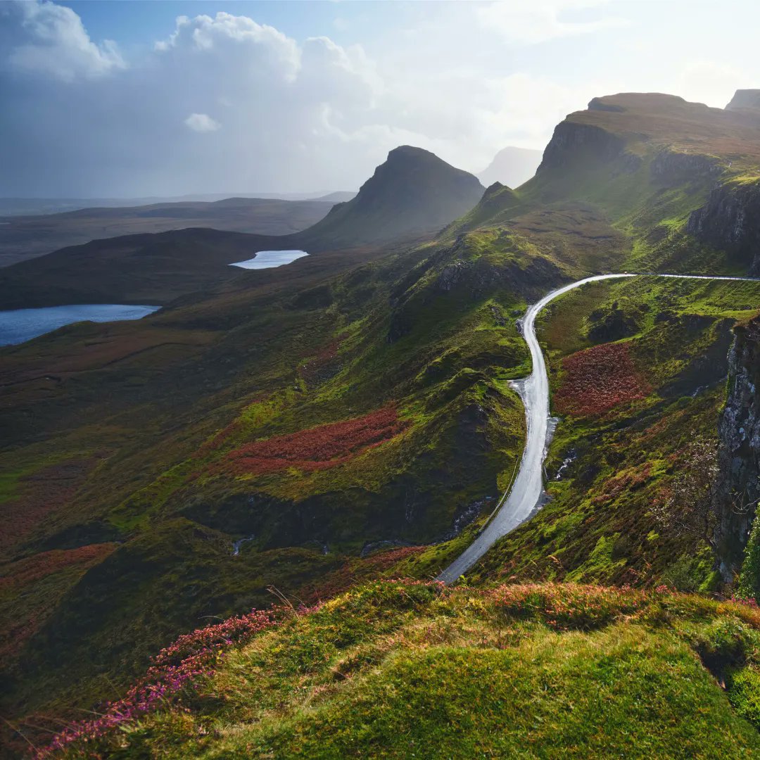 We Drifters tweet media