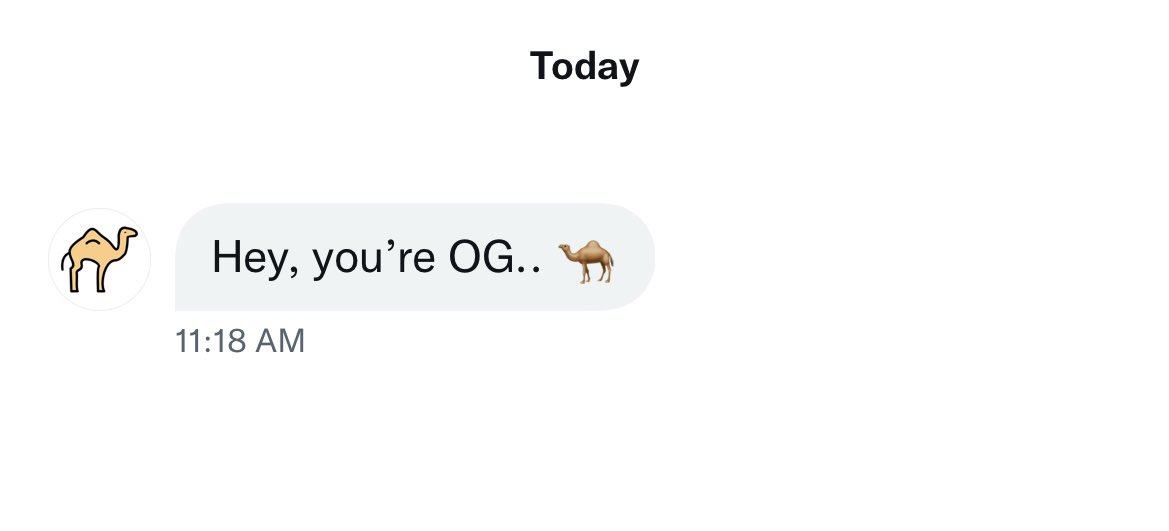 Cool Camels Cult tweet media