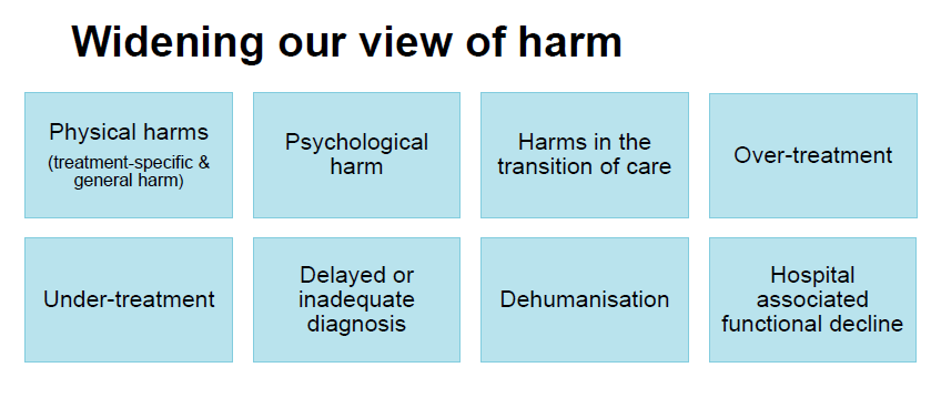 patients4safety's tweet photo. How do you define harm? Below are examples included in our holistic and balanced approach to safety. We believe that racism is harm (psychological harm and dehumanization). @HE_ES_Canada https://t.co/0ya9HXQ22T