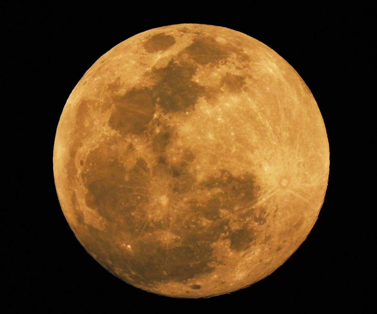 J__xl's tweet photo. 8:30 || تأملوا جمال #القمر_العملاق 🔭🌕 https://t.co/KnoTZHfyx4
