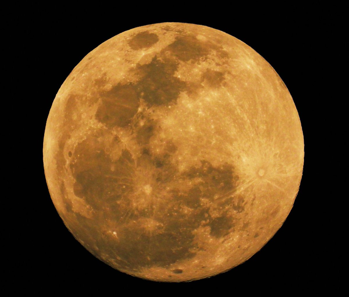 J__xl's tweet photo. 8:30 || تأملوا جمال #القمر_العملاق 🔭🌕 https://t.co/KnoTZHfyx4
