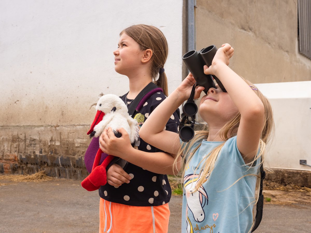 Také se zapojujete do sledování hnízd čápů bílých? birdlife.cz/hnizdeni-capu-…
🤝 Díky zapojení dobrovolníků víme, že na 302 hnízdech jsou aktuálně vzrostlá mláďata. A další budou rychle přibývat!
💻 Vložte vaše pozorování na birdlife.cz/capi/
📲 V terénu požijte Avif Mobile.