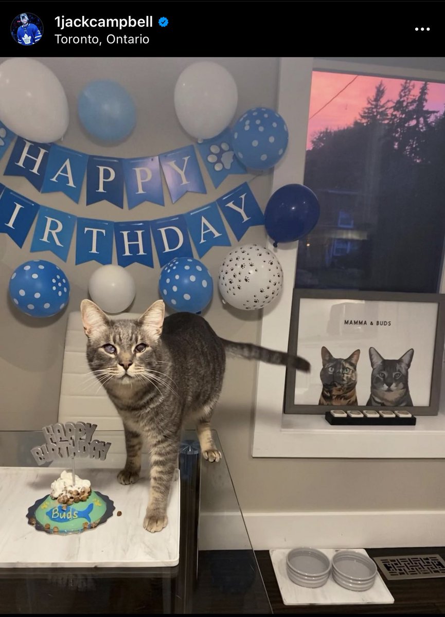 Jack Campbell threw a birthday party for his cat. Love him already.