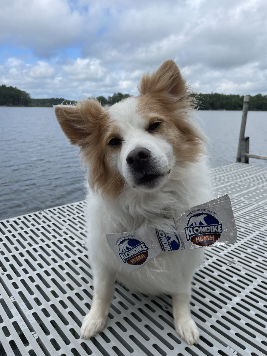 Susan Howey tweet media