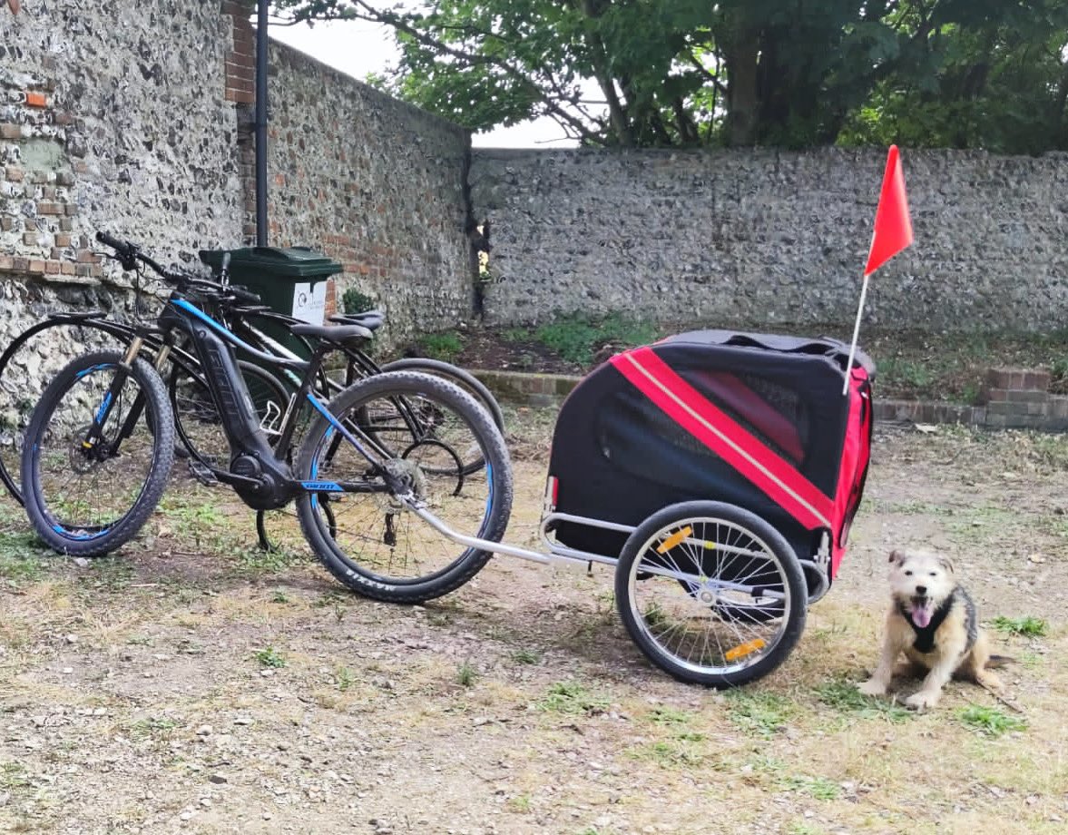 Our first customer for the #pettrailer 
Enjoyed a little ride through the forest 🌳 #bikehire #southdowns #petfriendly <a href="/sdnpa/">South Downs National Park</a> <a href="/SevenSistersCP/">Seven Sisters Country Park</a>