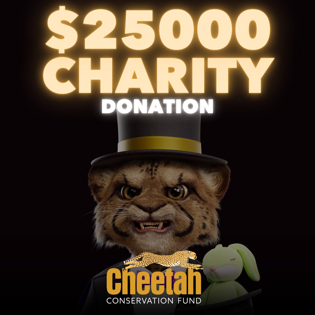 🐆 Big Cats' charity donation to <a href="/CCFCheetah/">Cheetah Conservation Fund</a> will help almost 90 cheetah cubs - saved from the illegal wildlife trade - receive life changing professional veterinary treatment &amp; support from trained animal keepers. 

Info: cheetah.org

 #SaveTheCheetah #KeepThemWild