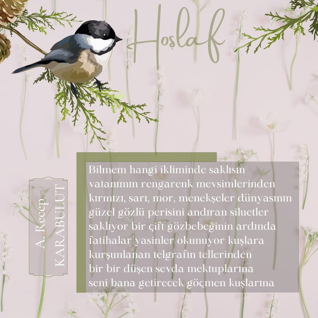 "Bilmem hangi ikliminde saklısın vatanımın rengarenk mevsimlerinden.."
...
@arkarabulutt