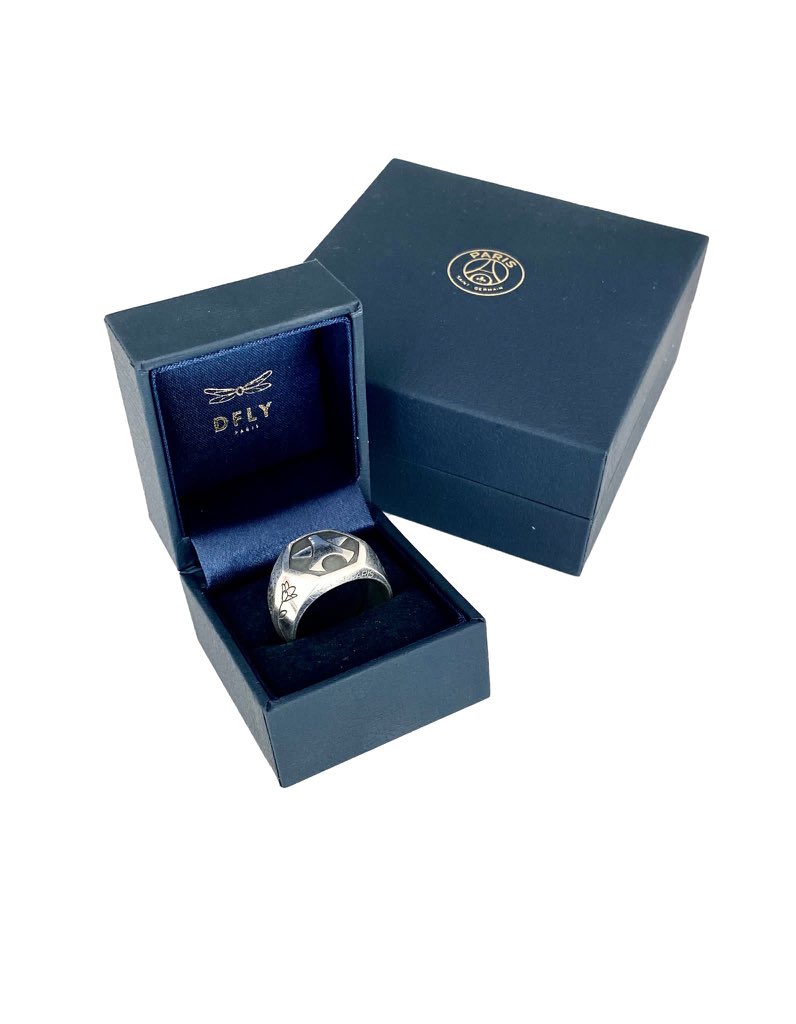 lasource75006's tweet photo. [ OFFICIEL ] Lancement de la collection @PSG_inside X #DFLY ( joailler parisien ) en hommage aux dix titres du club parisien. Une bague chevalière et un pendentif avec les 10 titres incrustés. ⭐️🔴🔵 https://t.co/R04aJFYMcH