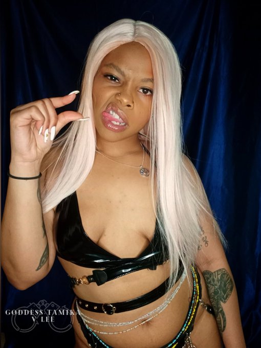 Goddess Daniella's domme friend, the powerful @TamvleetheG deserves a follow from everyone. She is flawless<a href="/tag/femdom"class="tags"><span>#femdom</span></a><a href="/tag/findom"class="tags"><span>#findom</span></a><a href="/tag/footworship"class="tags"><span>#footworship</span></a><a href="/tag/chastity"class="tags"><span>#chastity</span></a><a href="/tag/beta"class="tags"><span>#beta</span></a><a href="/tag/paypig"class="tags"><span>#paypig</span></a>