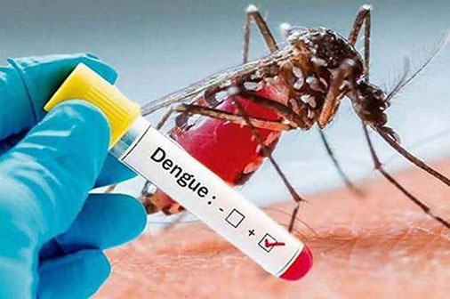 VigilanciaCiego's tweet photo. El @MINSAPCuba refuerza las acciones de control hacia el mosquito #AedesAegypti ante un aumento de la infestación por el vector. 
#CubaPorLaSalud
#CiegodeAvilaPorLaVida
#JuntosPodemosLograrlo https://t.co/mSHe5sIatf