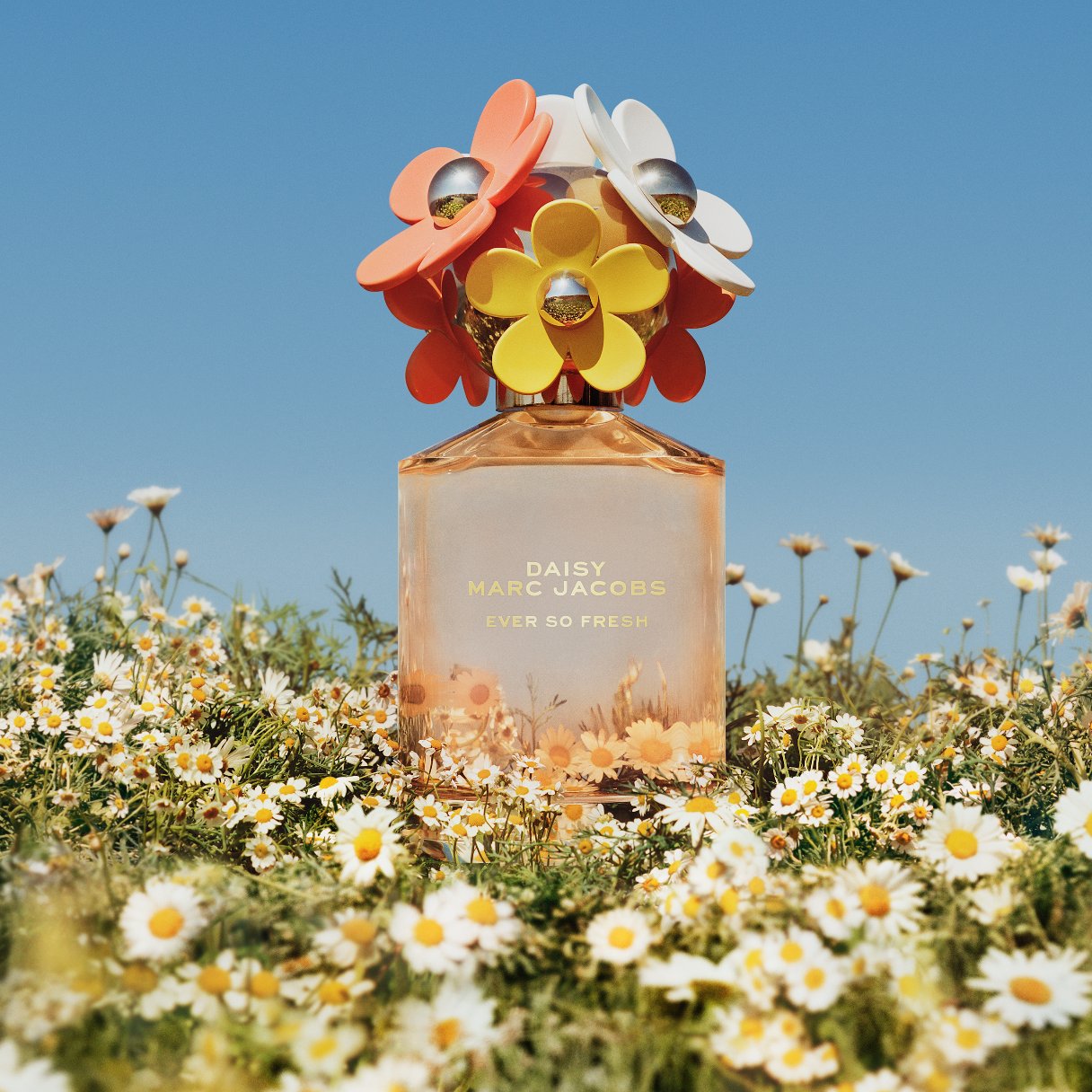 Marc jacobs summer daisy deals