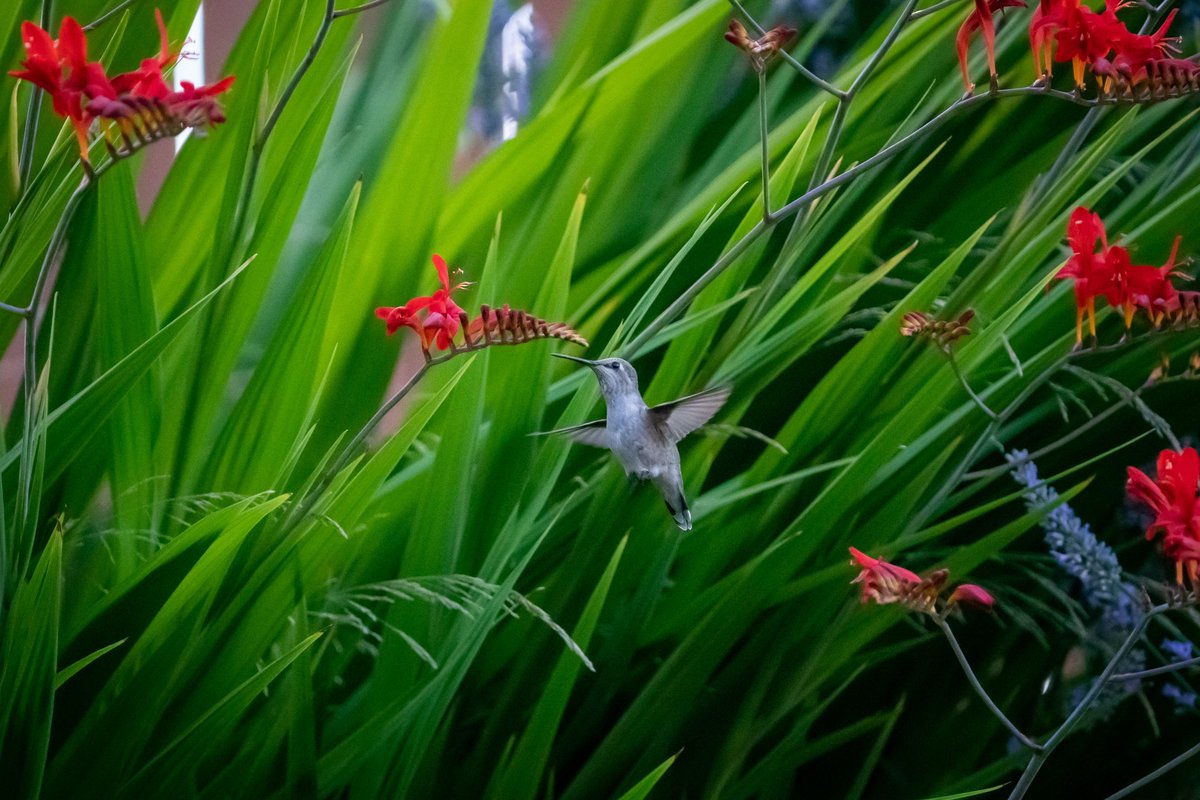 Dan Rosas tweet media