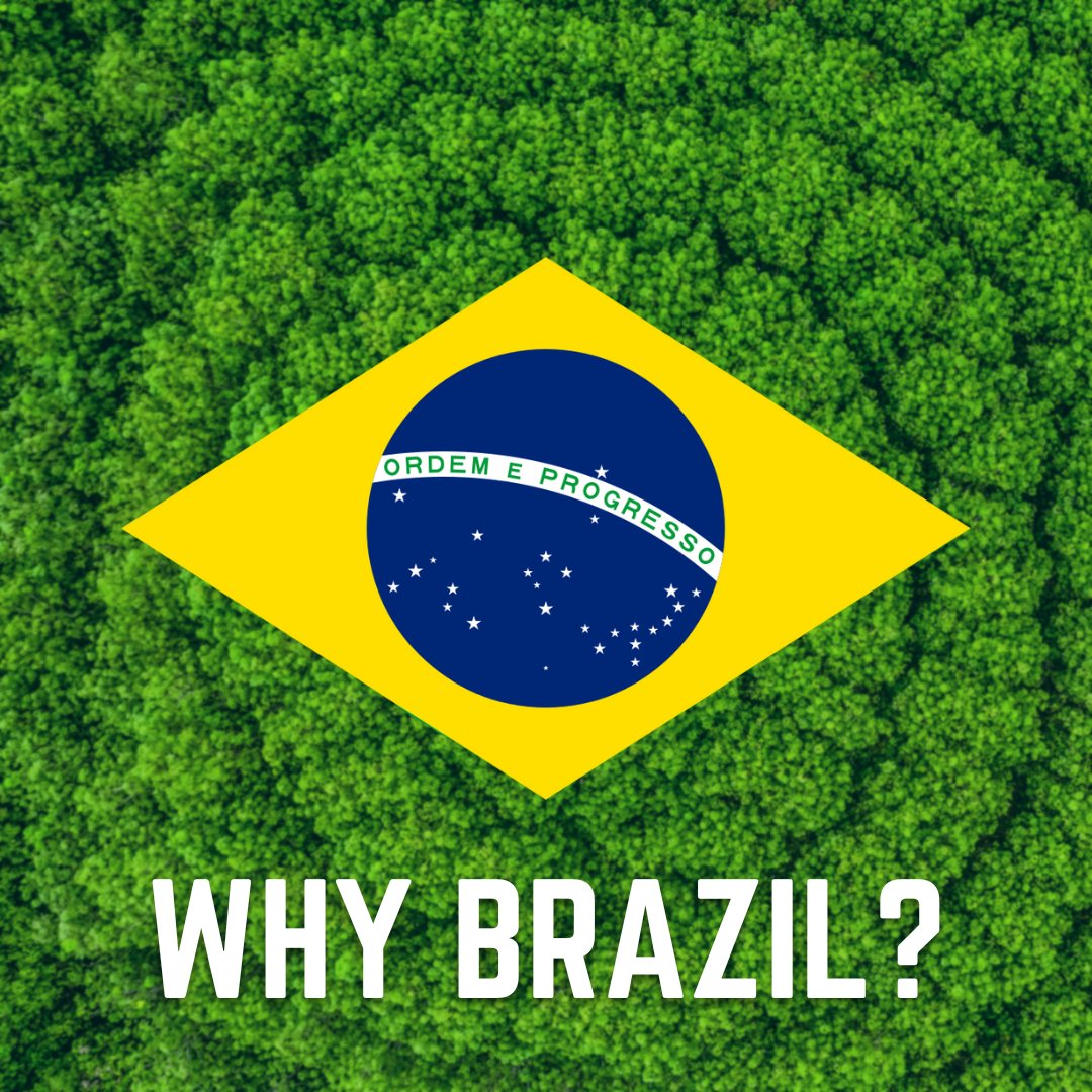 Why Are The Drifters Made In Brazil?

When looking to make the Drifters we found a factory in Brazil that was already very sustainable with the way they work, and by chance Brazil already naturally produces all the resources we needed, so it seemed like the obvious answer!