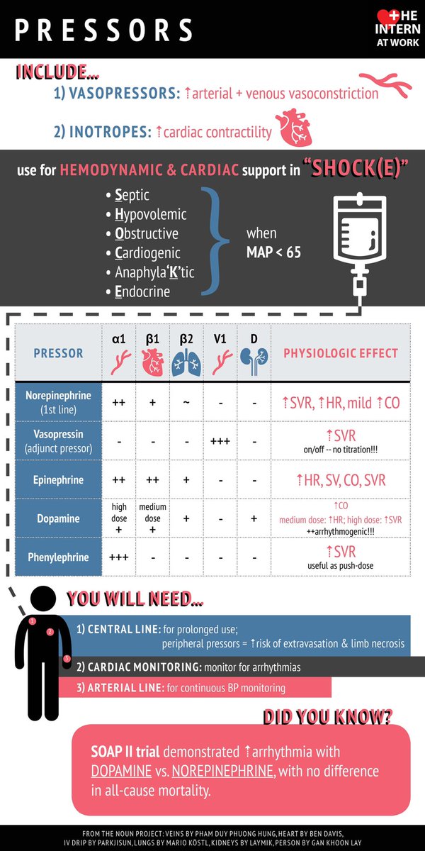 Great evidence based lecture today on vasopressors by our ICU pharmacist #AdamPennoyer as part of our survival series. This infographic is a good summary from @InternAtWork. #medtwitter.