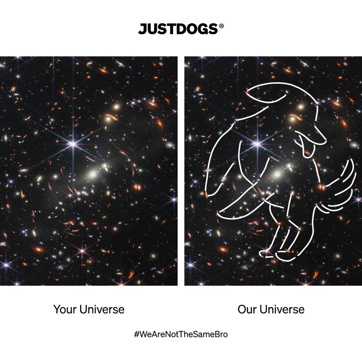justdogsindia's tweet image. Nasa will say it is photoshopped 🐶
#NASAWebb #JUSTDOGS