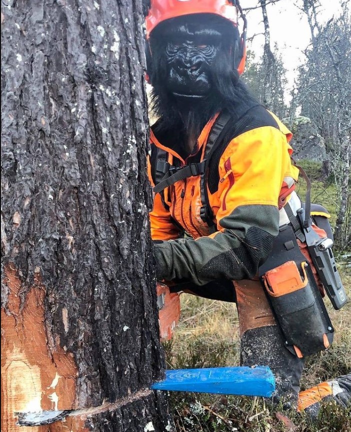 Follow her/his instagram for more post
#logger #logging #treecutting #arboristSome tree felling at the cabin today Via <a href="/frkkaasen/">cathrine kåsen</a> han I was working