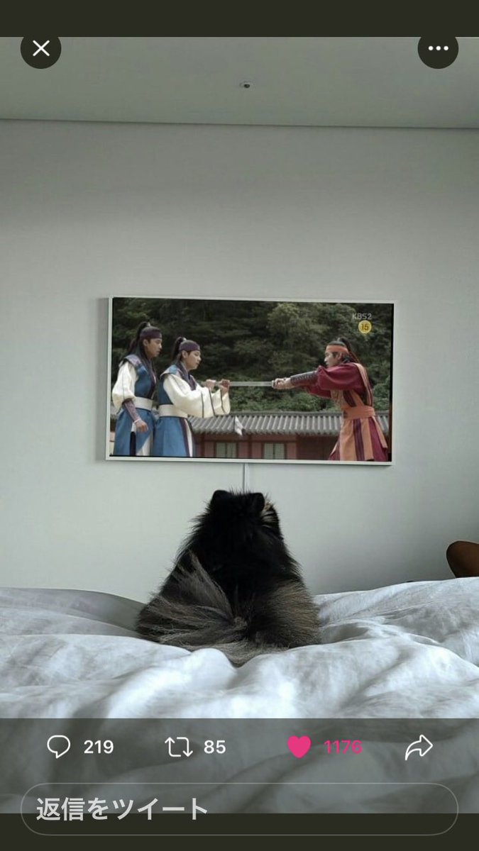 7_co_starry's tweet image. 6月13日、デビュー9周年の翌日、防弾会食でショックを受け、ずっと見る専門だったけど 誰かとBTSのこと話したい✨と思って 勇気を出してTwitter始めてみて1か月🌙こんな私でもﾌｫﾛｰしてくださる方がいて嬉しい😂ありがとう💜
#超大人army
#大人armyと仲良くなりたい