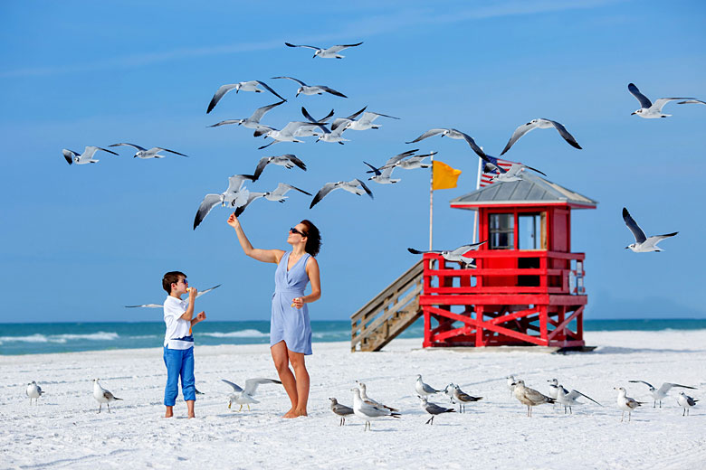 weather2travel's tweet photo. With miles of #white-sand shores, warm azure #waters and year-round #sunshine, it's easy to see why #Florida is a #holiday haven in the #USA 😍🌅

Check out 👉 Alternative Florida: the Sunshine State beyond Miami &amp; Orlando https://t.co/rCEUhz4auf

@pip_says @VISITFLORIDA @tui https://t.co/OHfwoxkvIO